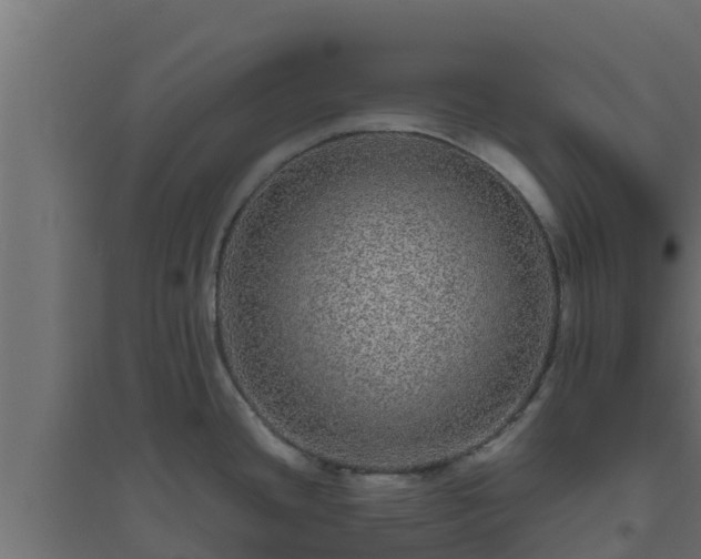 X0000094821436200711241458
