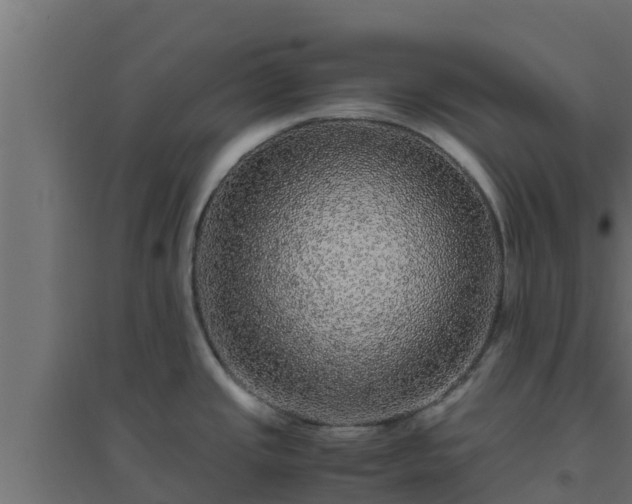 X0000094821437200711241458