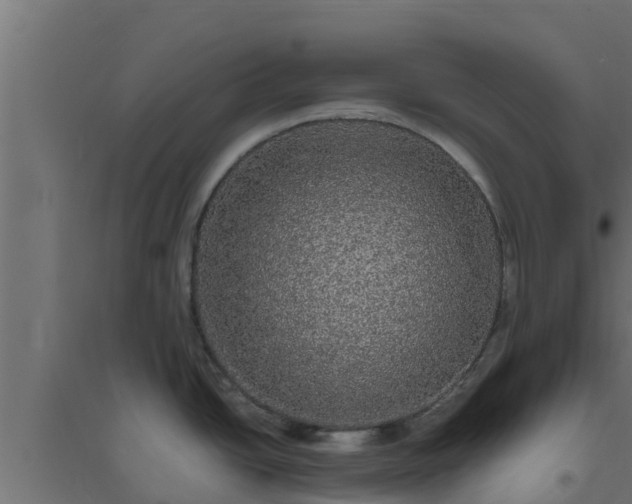 X0000094821438200711241458