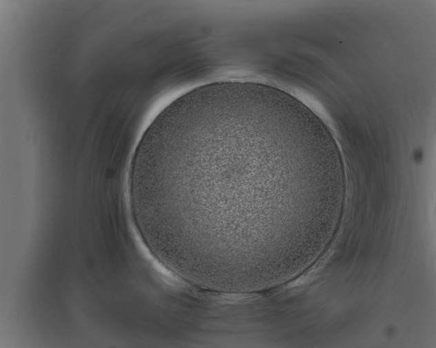 X0000094821440200711241458
