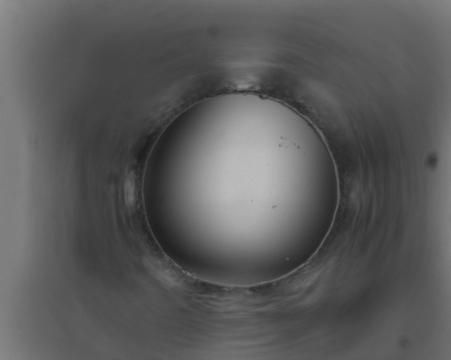 X0000094821442200711241457