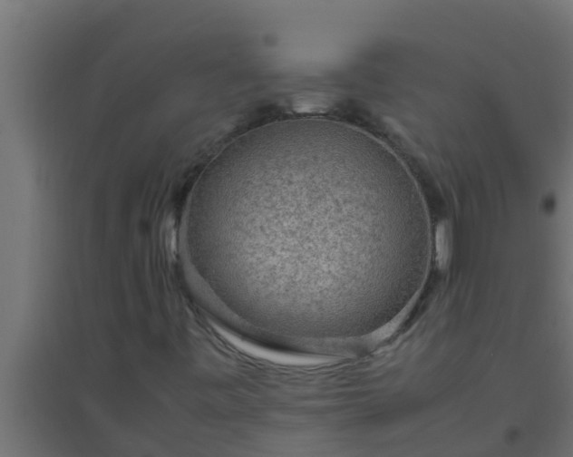 X0000094821443200711241457
