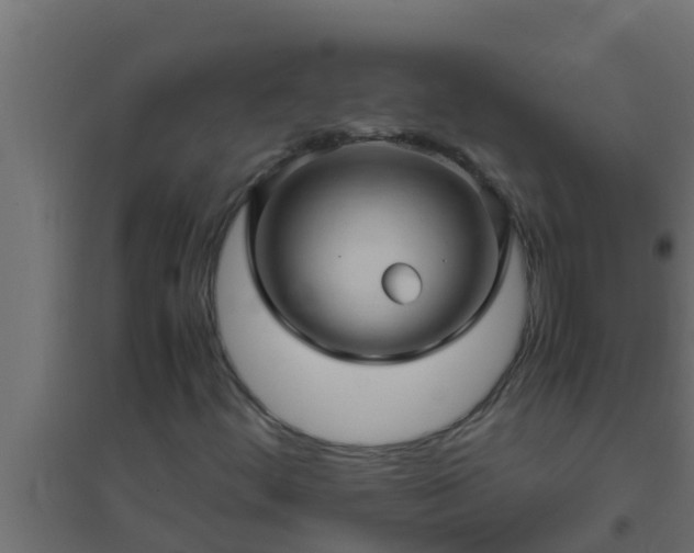 X0000094821444200711241457