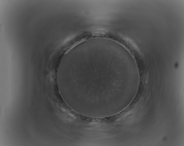 X0000094821445200711241457