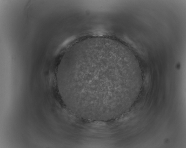 X0000094821446200711241457