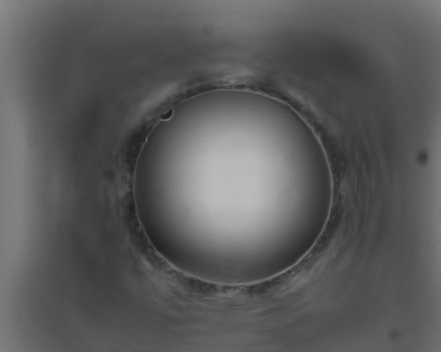 X0000094821447200711241457