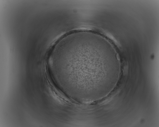 X0000094821448200711241457