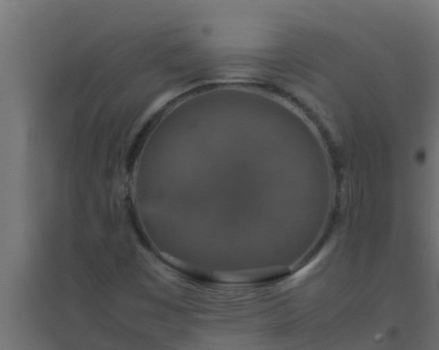X0000094821449200711241457