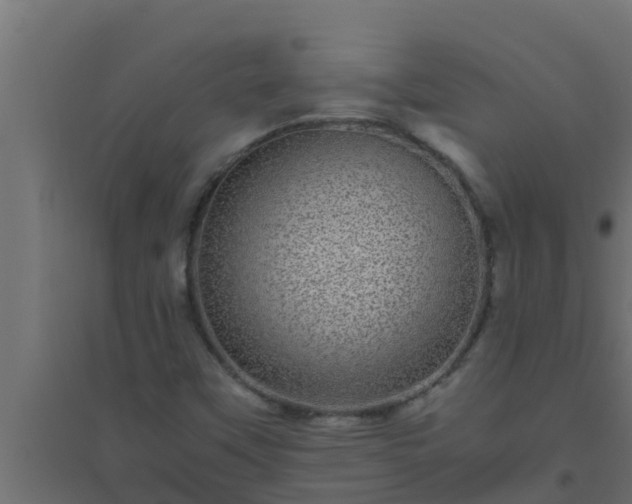 X0000094821451200711241457