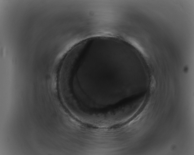X0000094821455200711241457