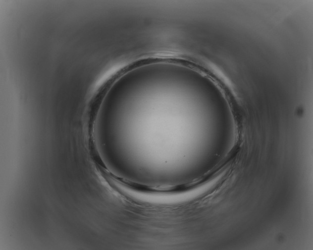 X0000094821456200711241457