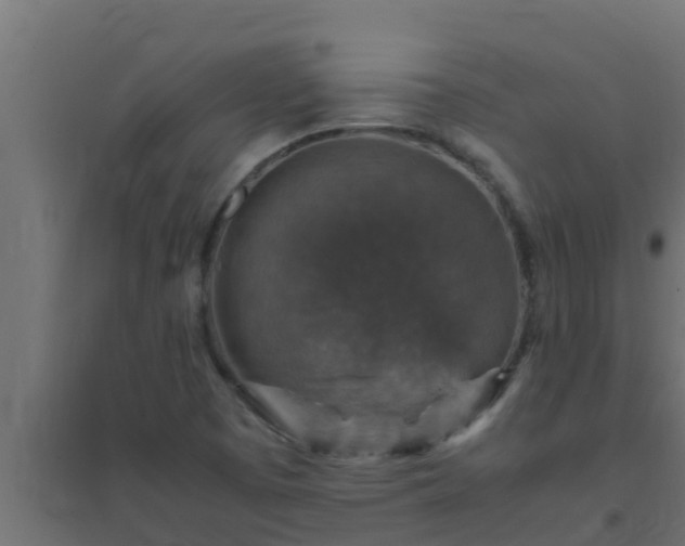X0000094821457200711241457