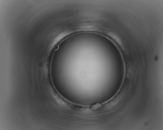 X0000094821458200711241457