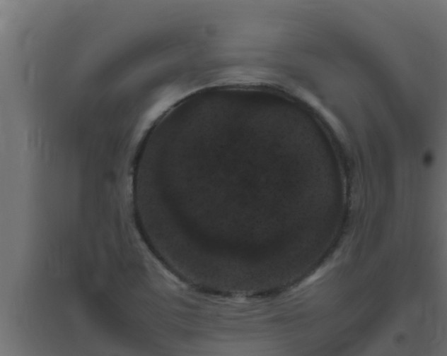 X0000094821459200711241457