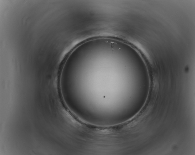 X0000094821460200711241457