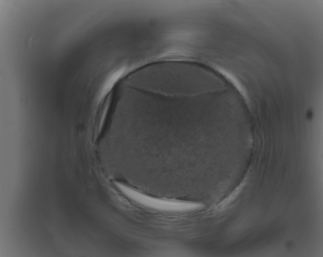X0000094821461200711241457