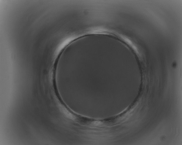 X0000094821463200711241457