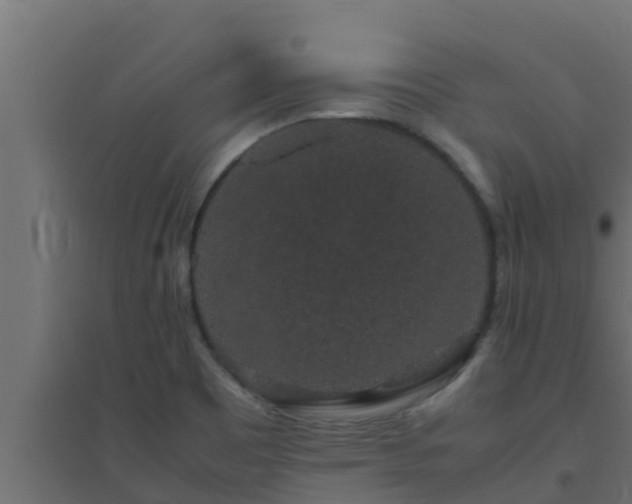 X0000094821465200711241457