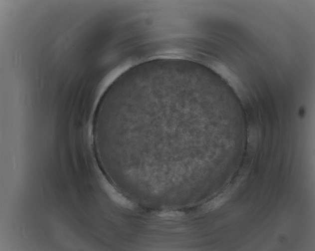 X0000094821466200711241457