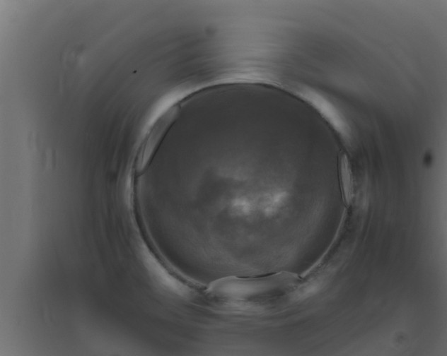 X0000094821468200711241457
