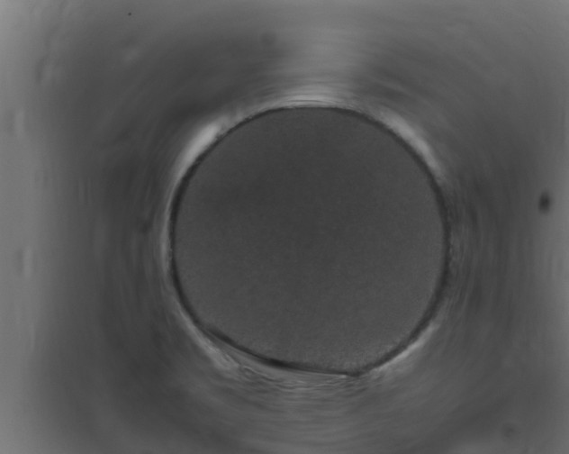 X0000094821469200711241457