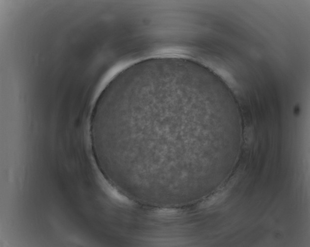 X0000094821470200711241457