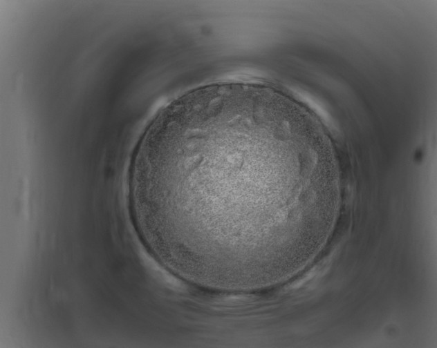 X0000094821471200711241457