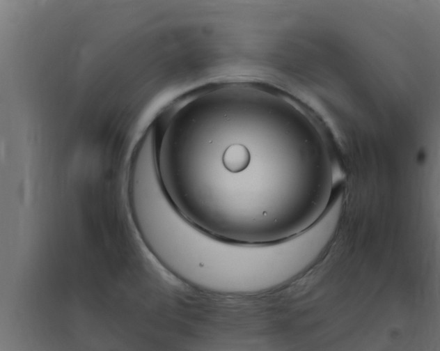 X0000094821472200711241457