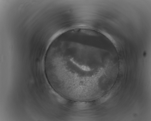 X0000094821474200711241457