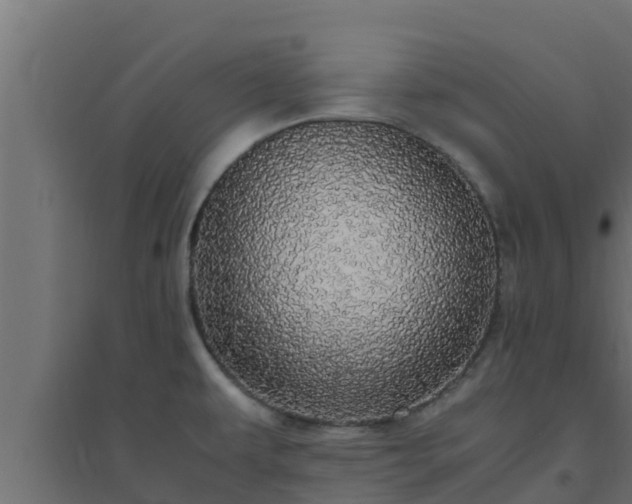 X0000094821479200711241457