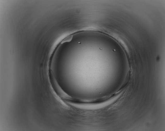 X0000094821480200711241457