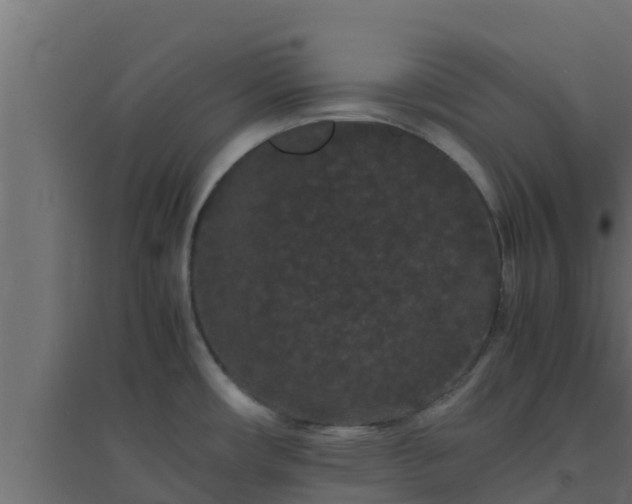 X0000094821482200711241457