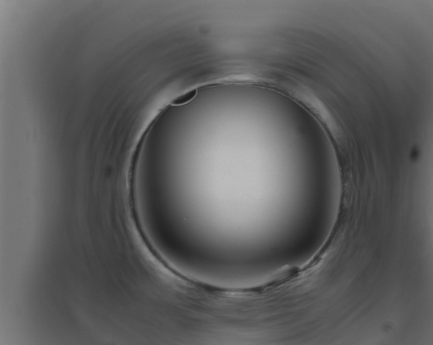 X0000094821483200711241457