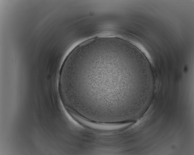 X0000094821484200711241457
