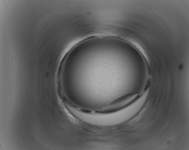 X0000094821485200711241457