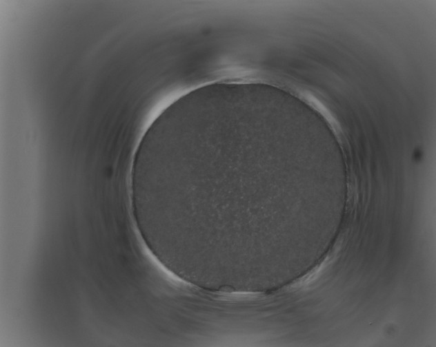 X0000094821487200711241457