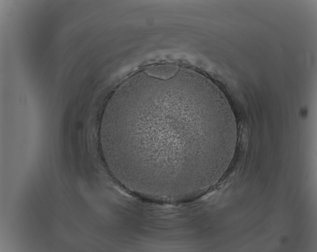 X0000094821489200711241456