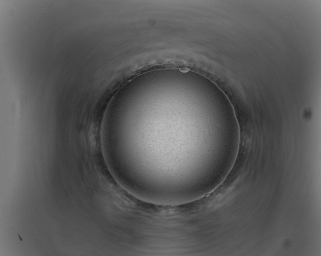 X0000094821490200711241456