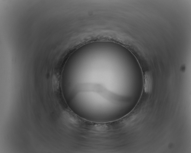 X0000094821491200711241456