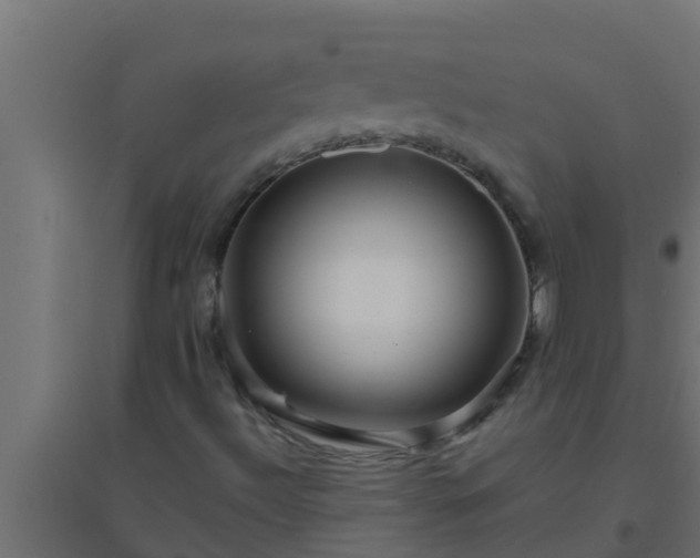X0000094821492200711241456