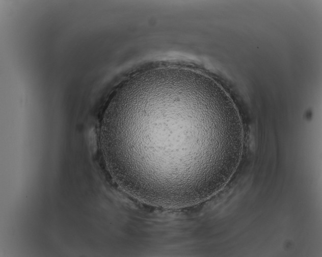 X0000094821493200711241456