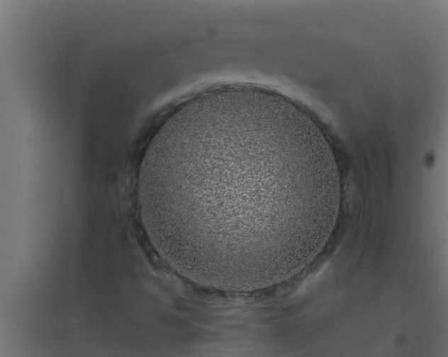 X0000094821494200711241456