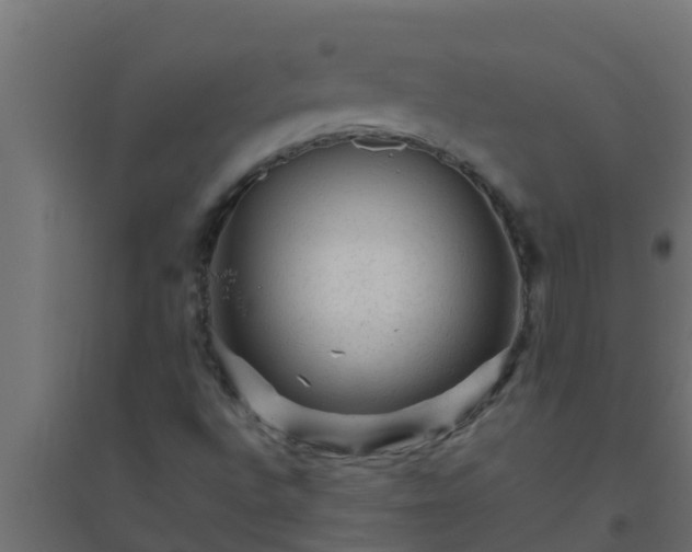 X0000094821496200711241456