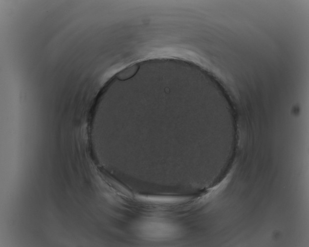 X0000094821497200711241456