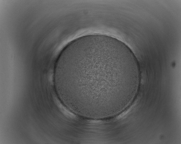 X0000094821499200711241456