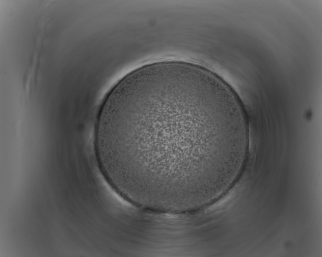 X0000094821500200711241456