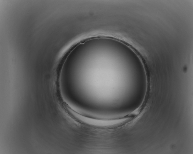 X0000094821502200711241456