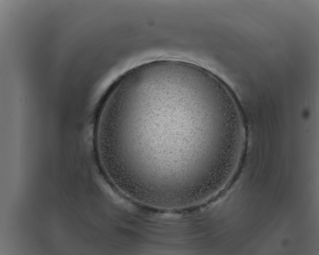 X0000094821503200711241456