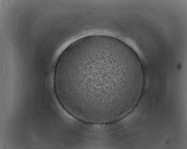 X0000094821504200711241456