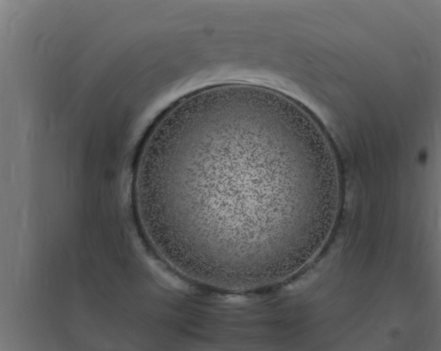 X0000094821507200711241456